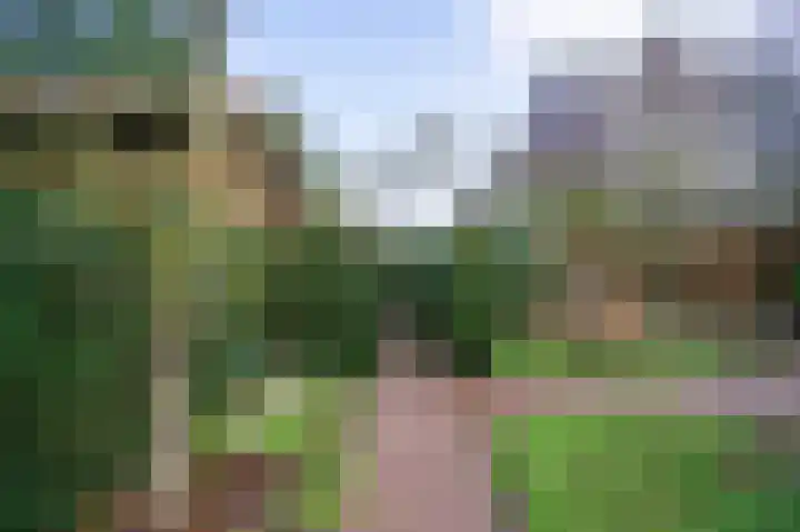 Kerksedriessen 1 Bakel thumbnail 50