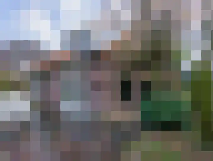 Kerksedriessen 1 Bakel thumbnail 52