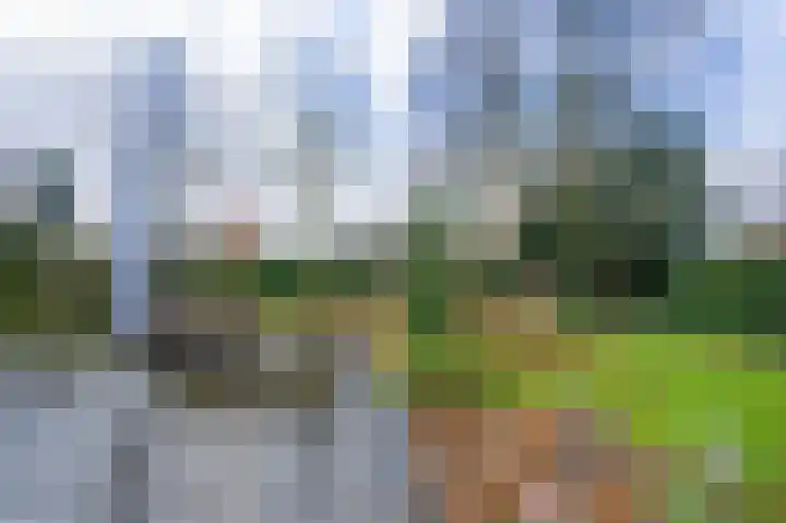 Kerksedriessen 1 Bakel thumbnail 53