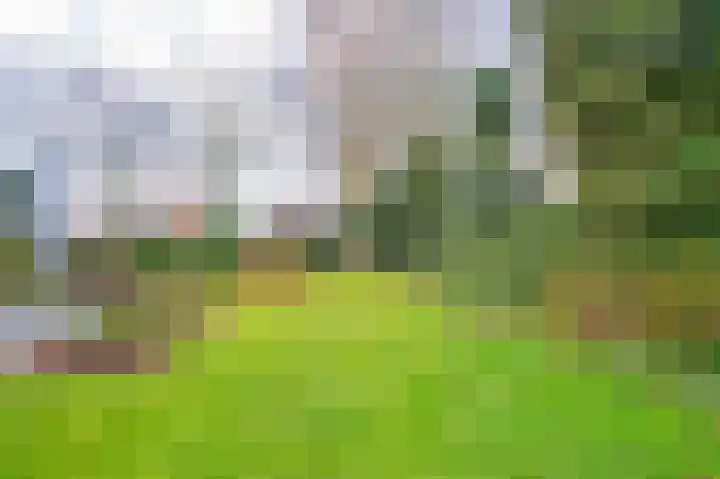 Kerksedriessen 1 Bakel thumbnail 54