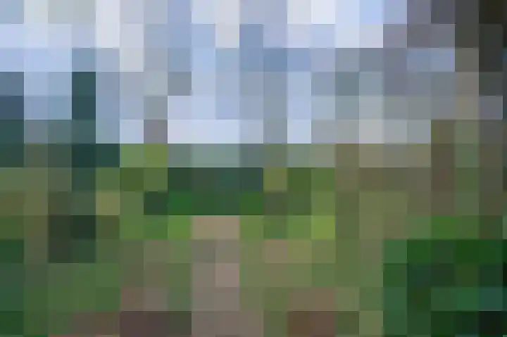 Kerksedriessen 1 Bakel thumbnail 55