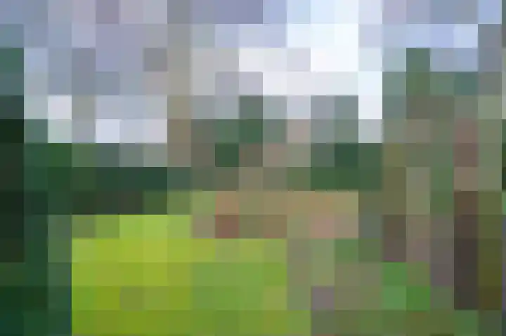 Kerksedriessen 1 Bakel thumbnail 56
