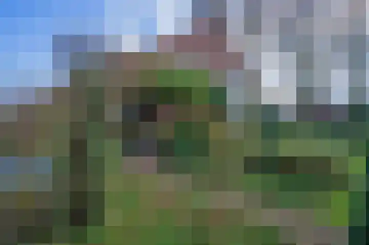 Kerksedriessen 1 Bakel thumbnail 58