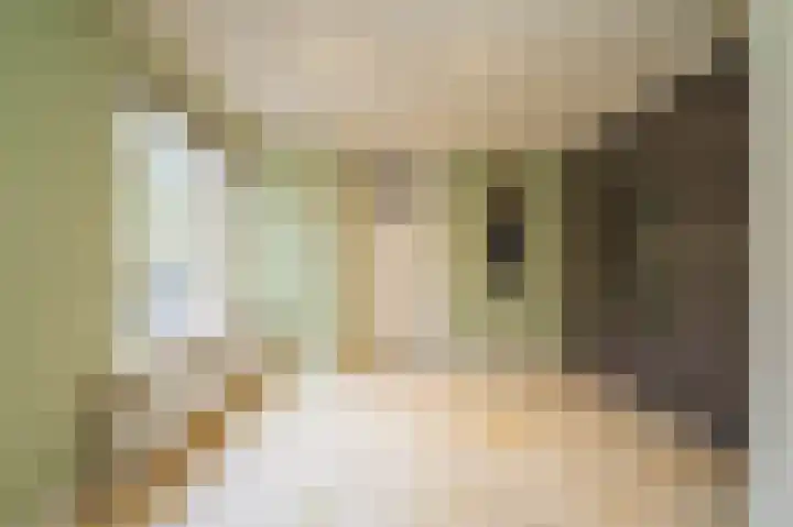Kerksedriessen 1 Bakel thumbnail 7