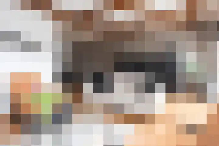 Kerksingel 17 a Berkel en Rodenrijs thumbnail 12