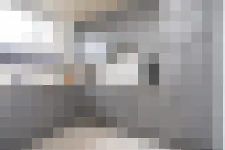 Kerksingel 17 a Berkel en Rodenrijs thumbnail 20