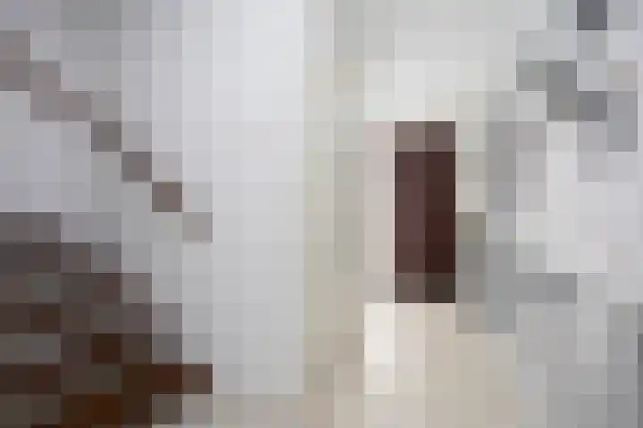 Kerksingel 17 a Berkel en Rodenrijs thumbnail 6