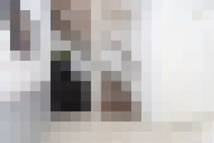 Kerksingel 17 a Berkel en Rodenrijs thumbnail 7