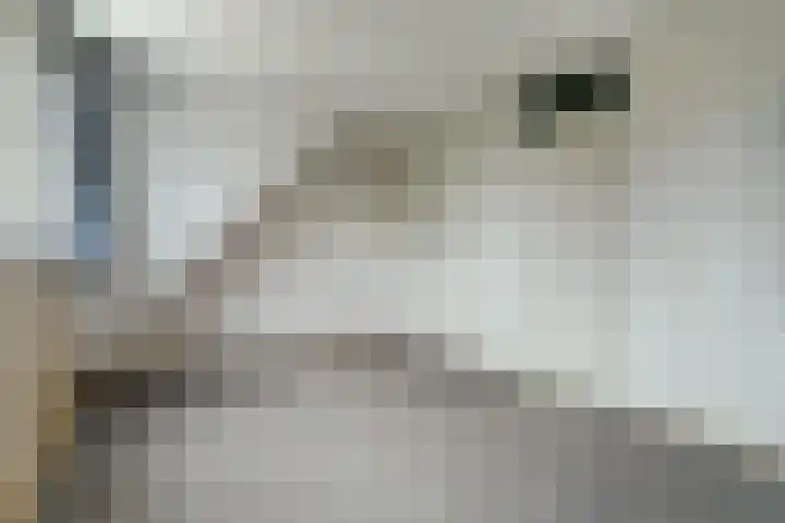 Kerksingel 17 Diessen thumbnail 26