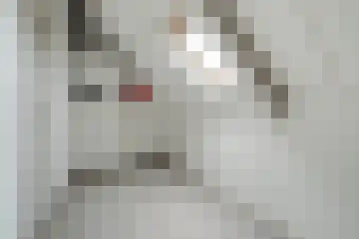 Kerksingel 17 Diessen thumbnail 28
