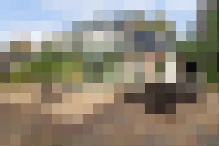 Kerksingel 17 Diessen thumbnail 34