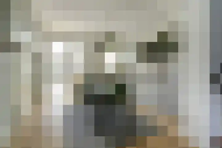 Kerksingel 17 Diessen thumbnail 8