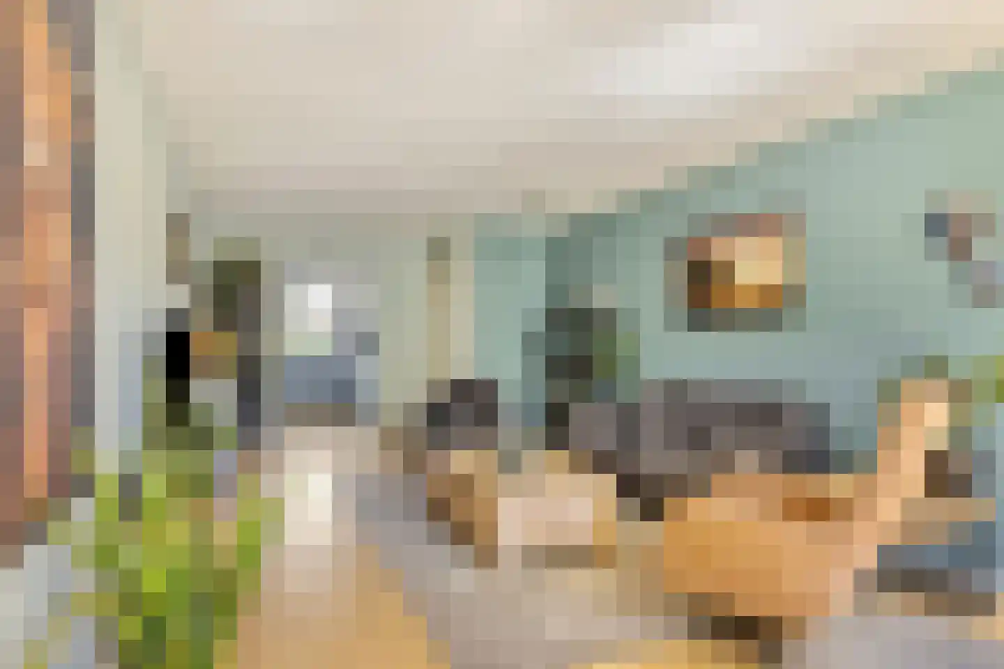 Kerkslagen 23 Lierderholthuis thumbnail 10
