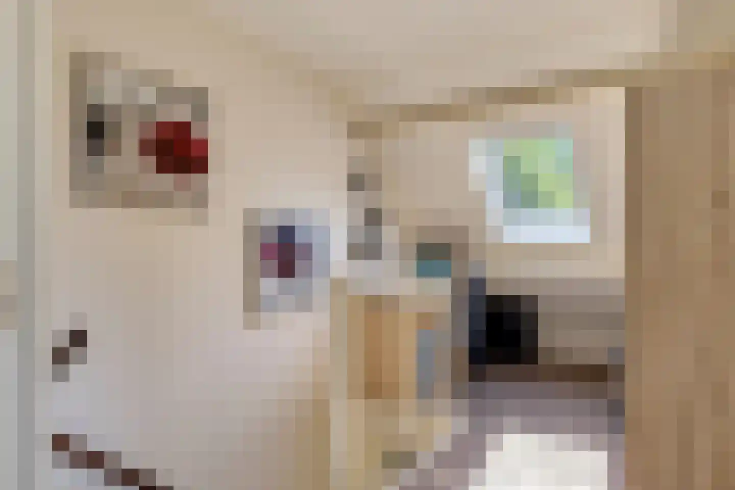 Kerkslagen 23 Lierderholthuis thumbnail 18
