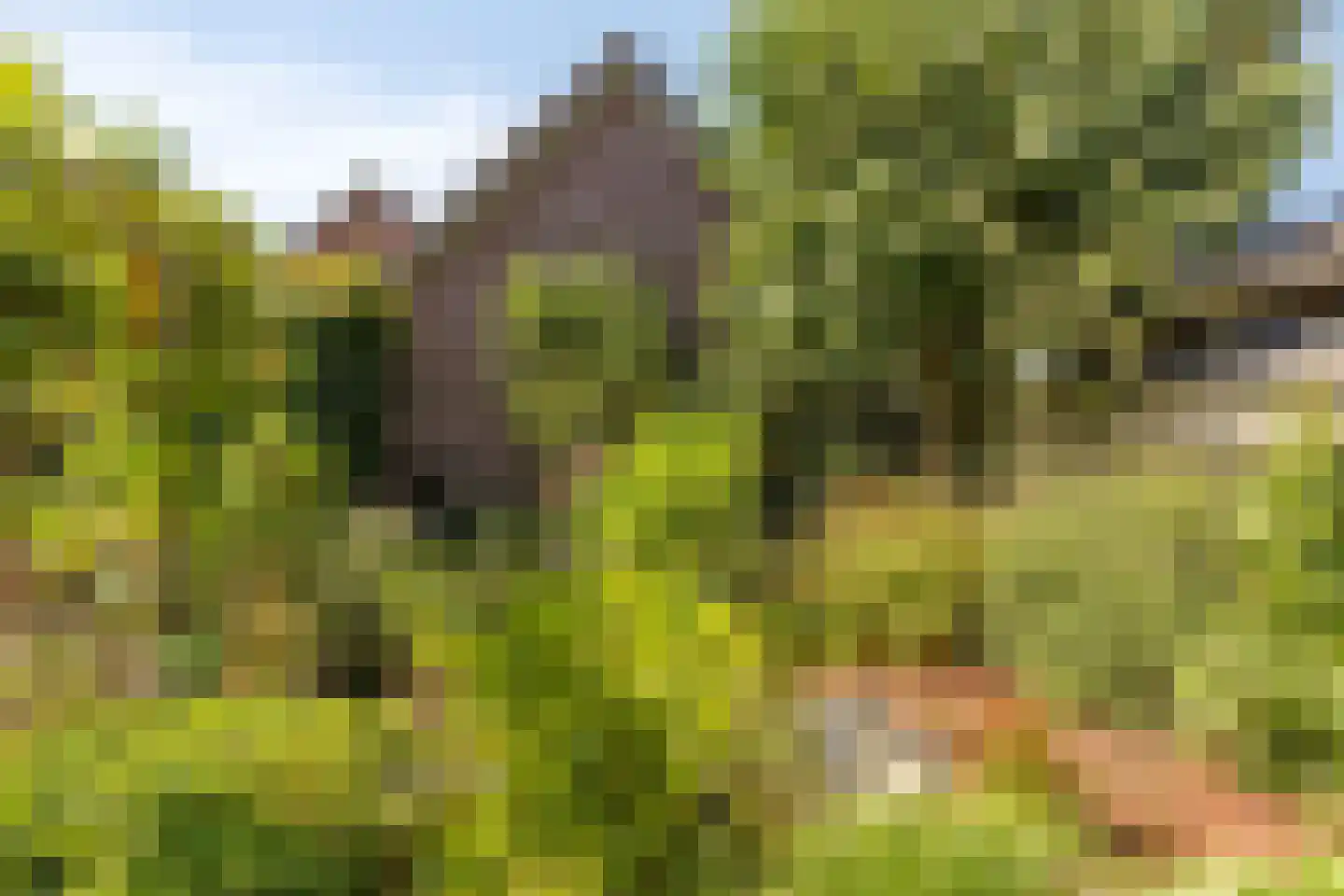 Kerkslagen 23 Lierderholthuis thumbnail 31