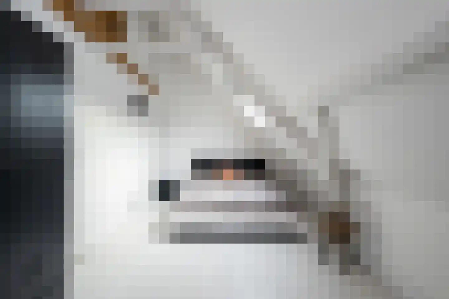 Kerksteeg 4 Stellendam thumbnail 13