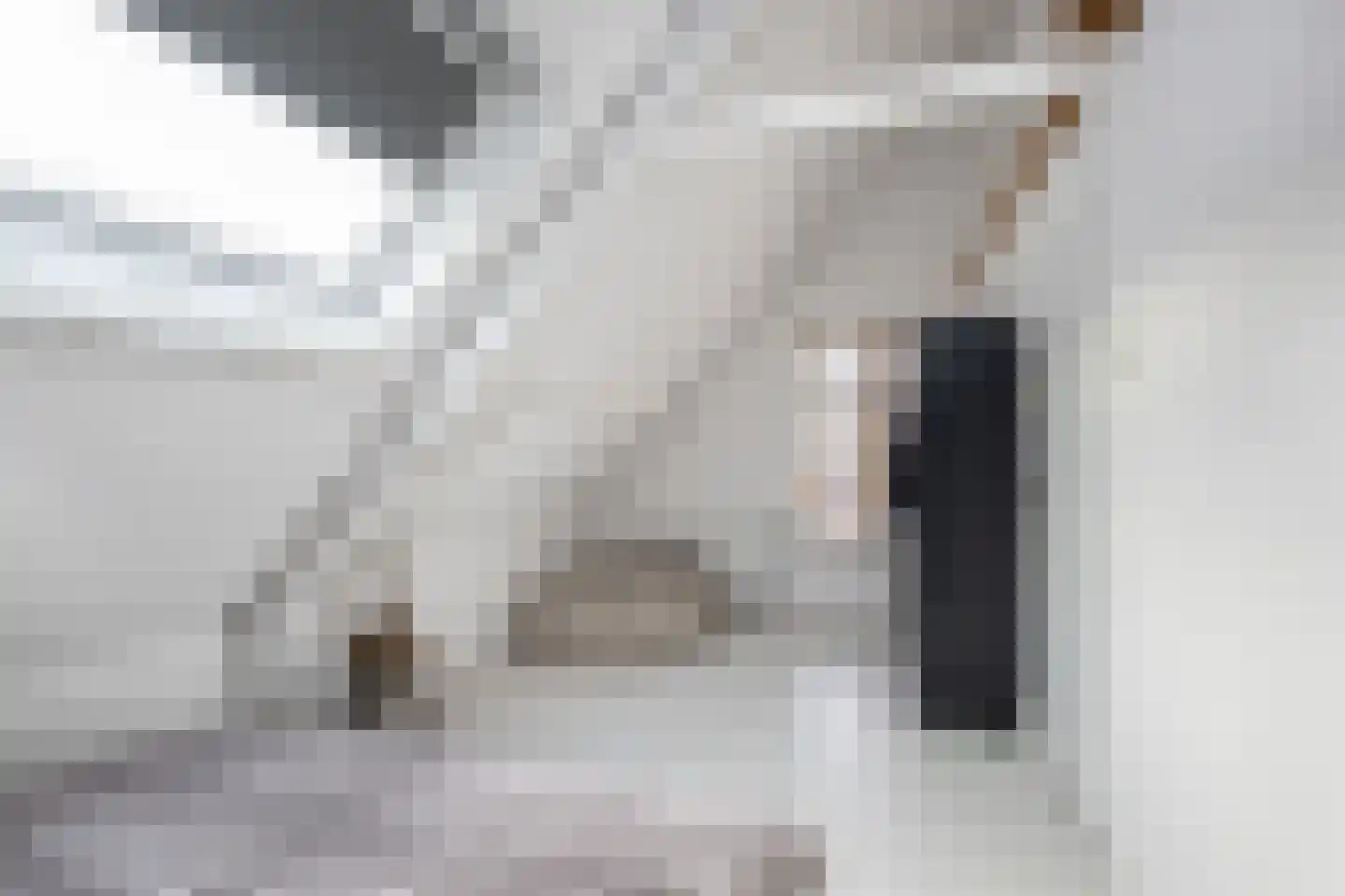 Kerksteeg 4 Stellendam thumbnail 14