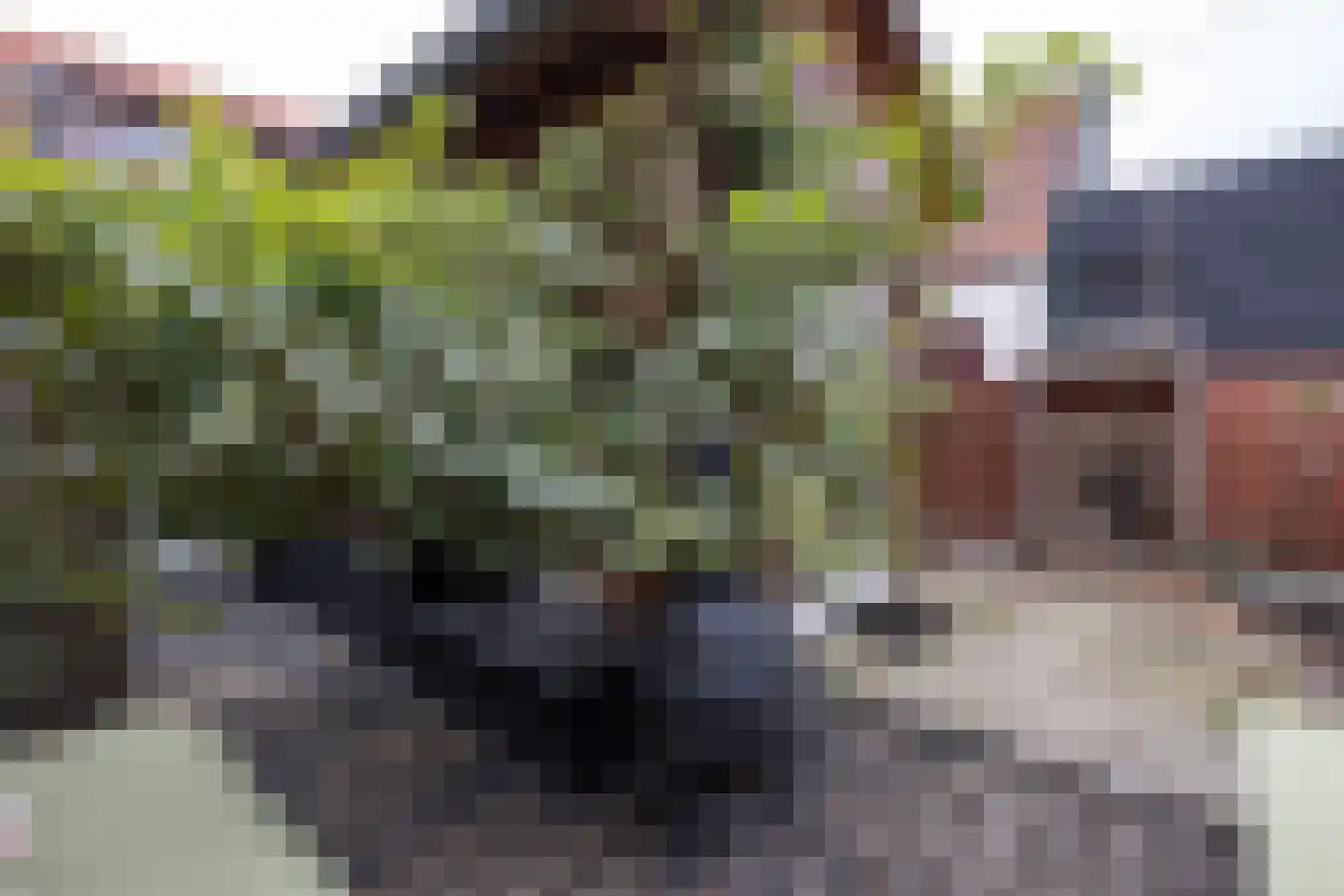 Kerksteeg 4 Stellendam thumbnail 31