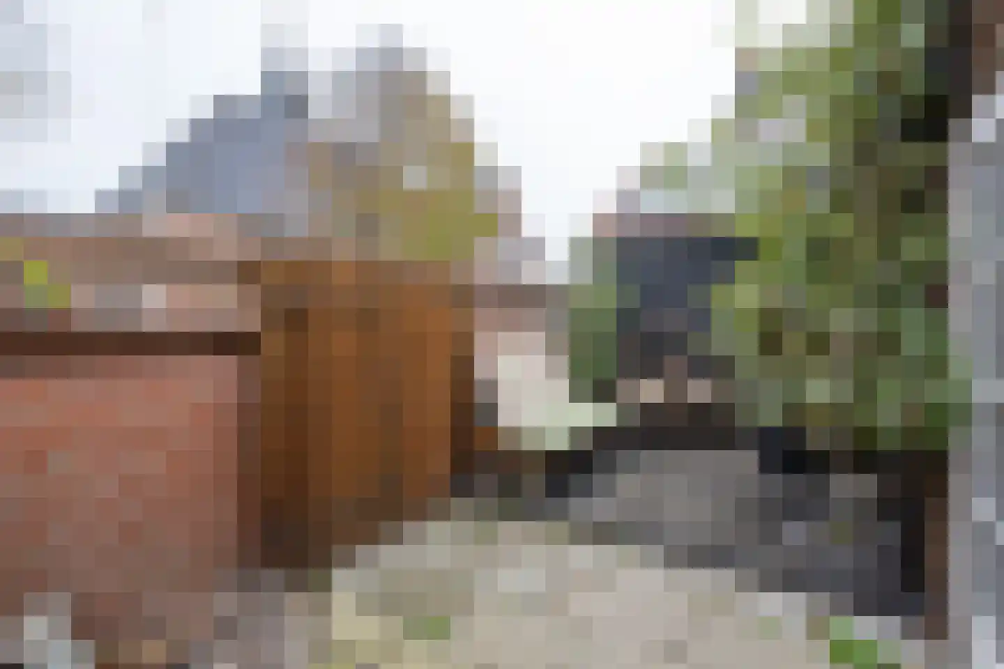 Kerksteeg 4 Stellendam thumbnail 32