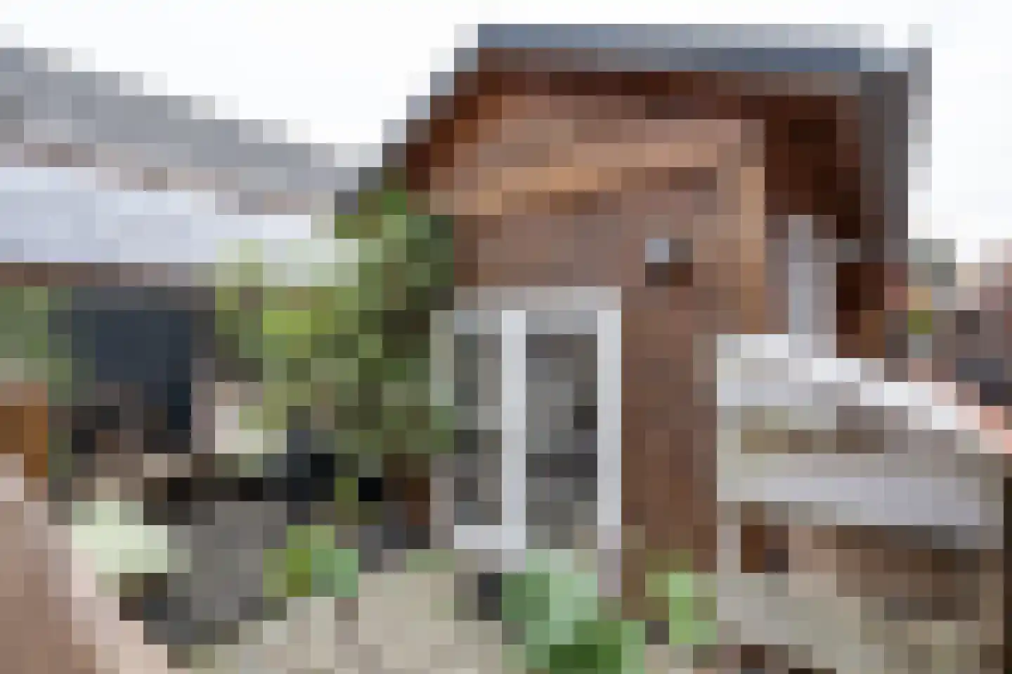 Kerksteeg 4 Stellendam thumbnail 33