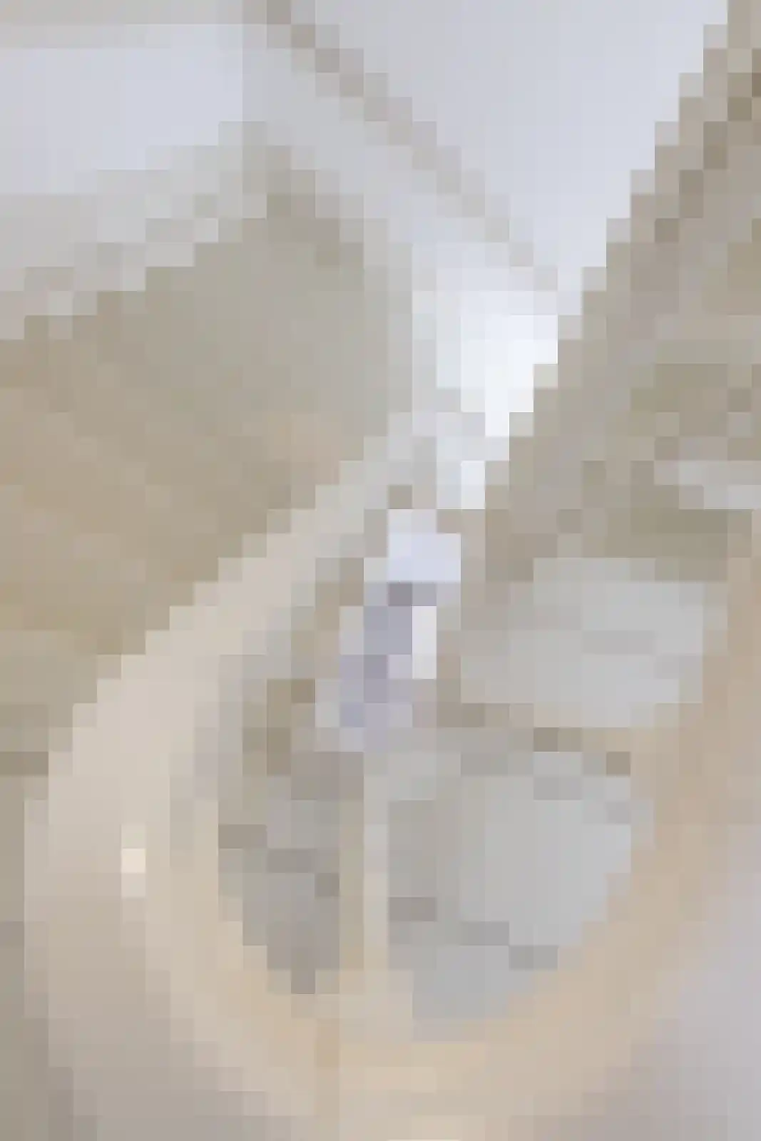 Kerksteegje 3 Zutphen thumbnail 20