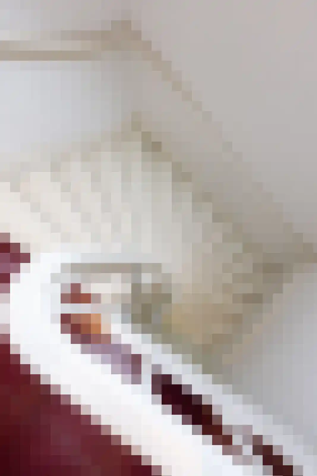 Kerksteegje 3 Zutphen thumbnail 22