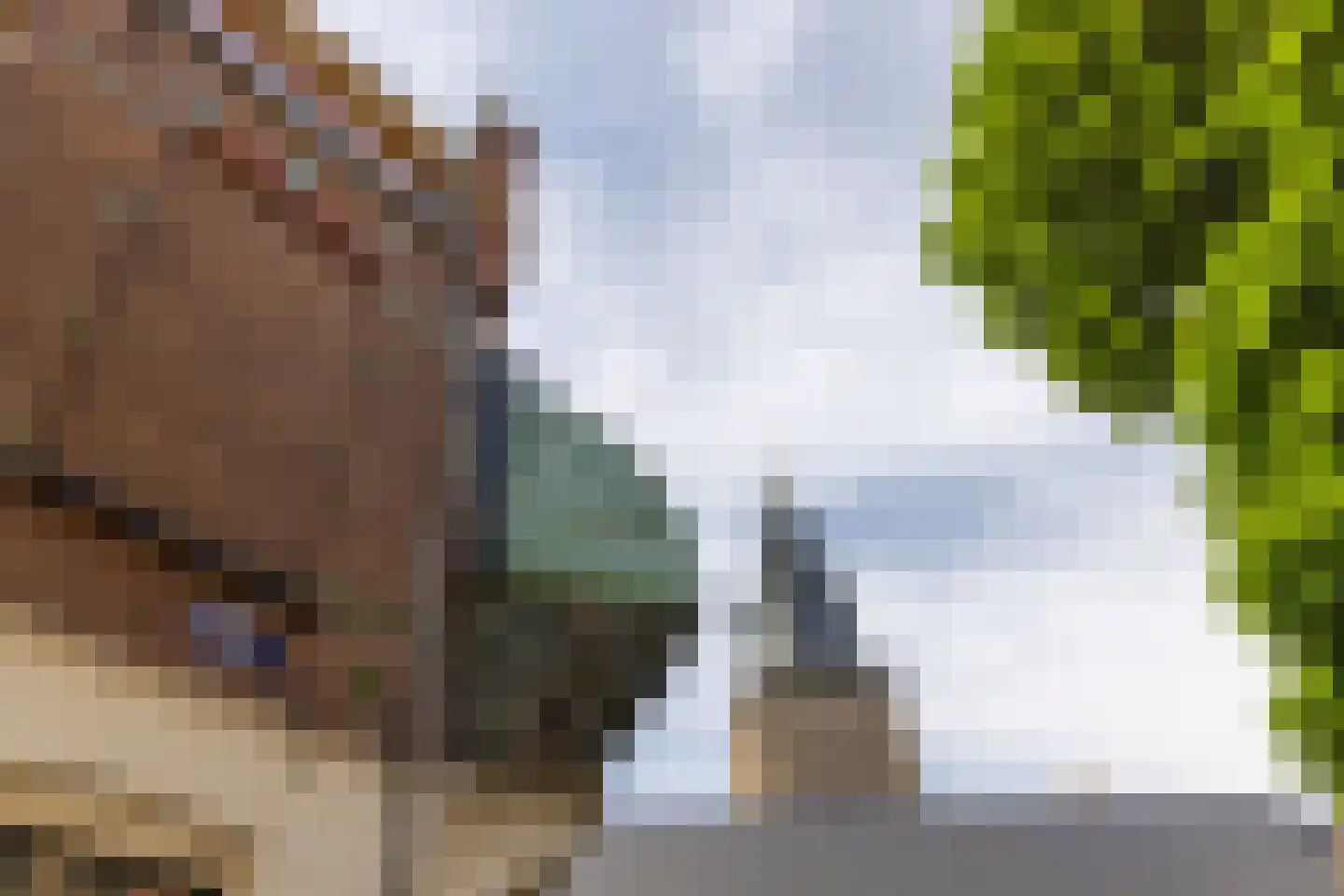 Kerksteegje 3 Zutphen thumbnail 38