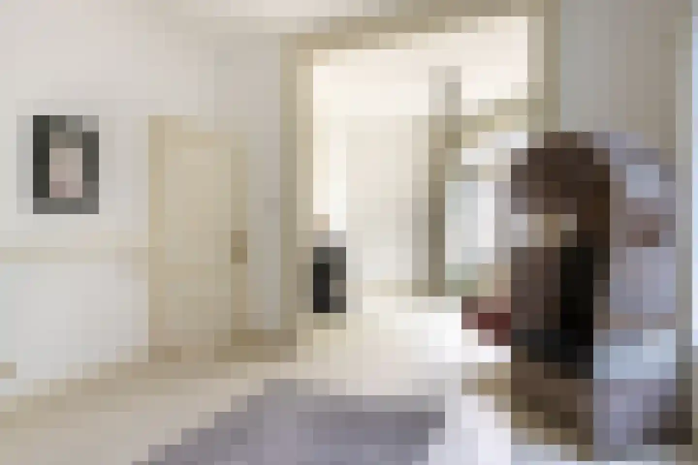 Kerksteegje 3 Zutphen thumbnail 4
