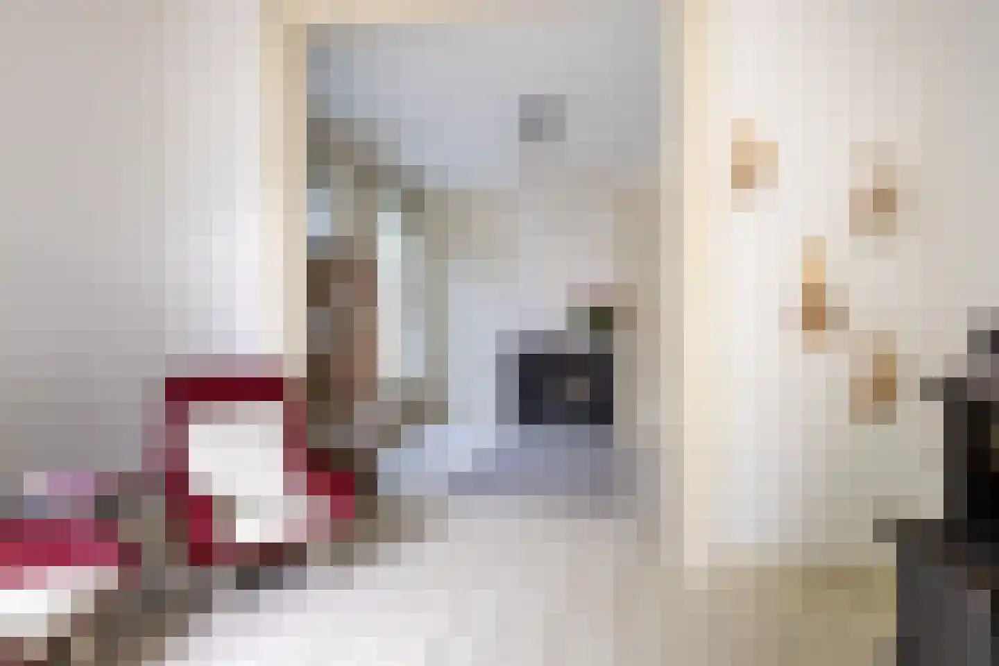 Kerksteegje 3 Zutphen thumbnail 9