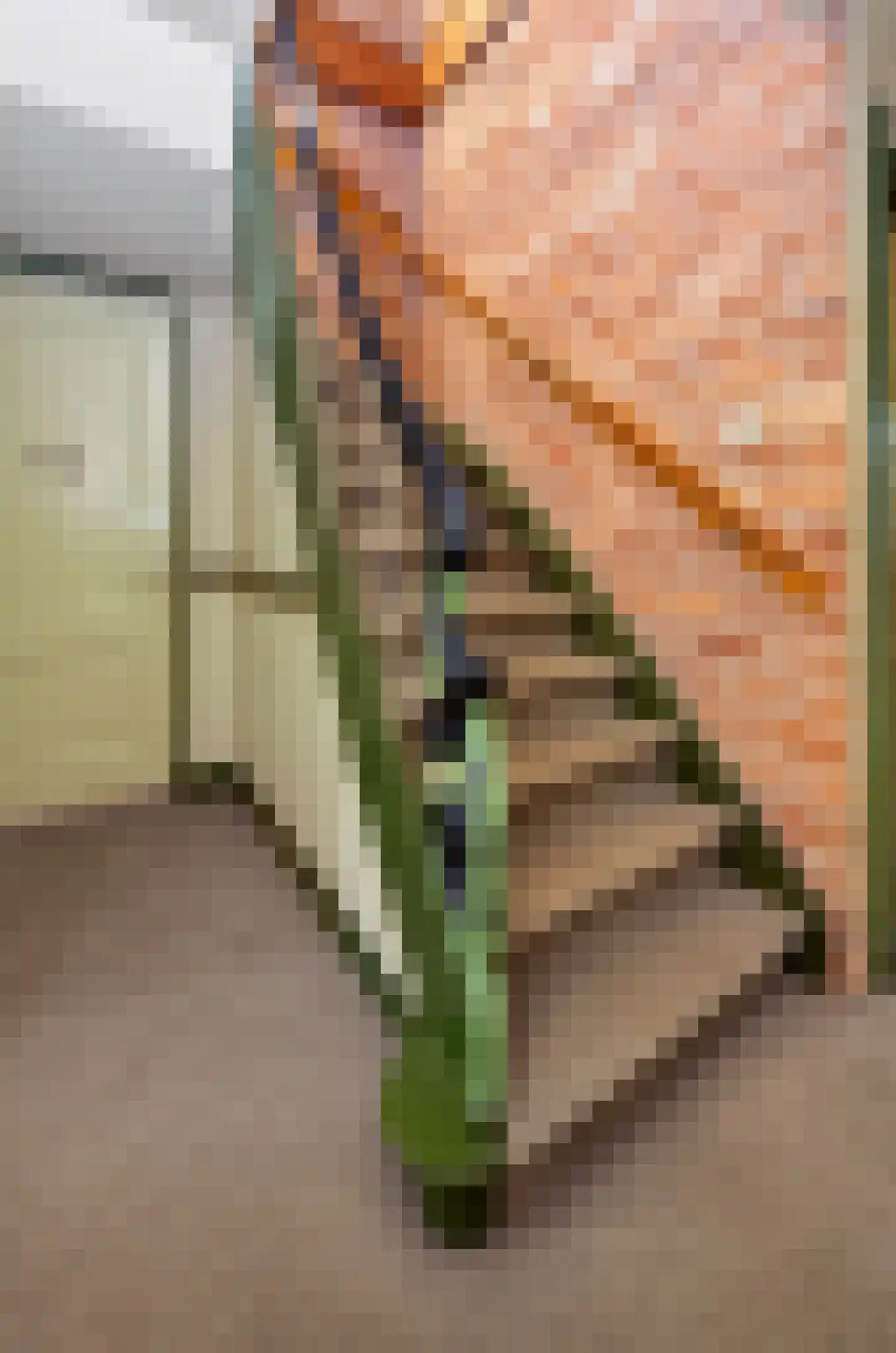 Kerkstraat 1 Dieren thumbnail 13