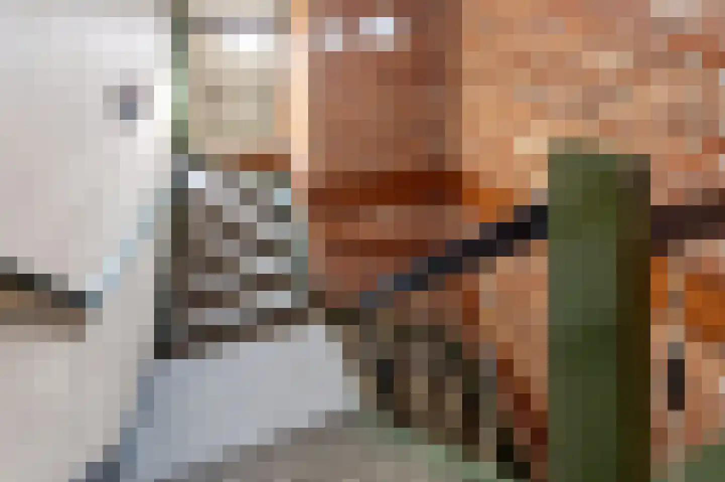 Kerkstraat 1 Dieren thumbnail 15