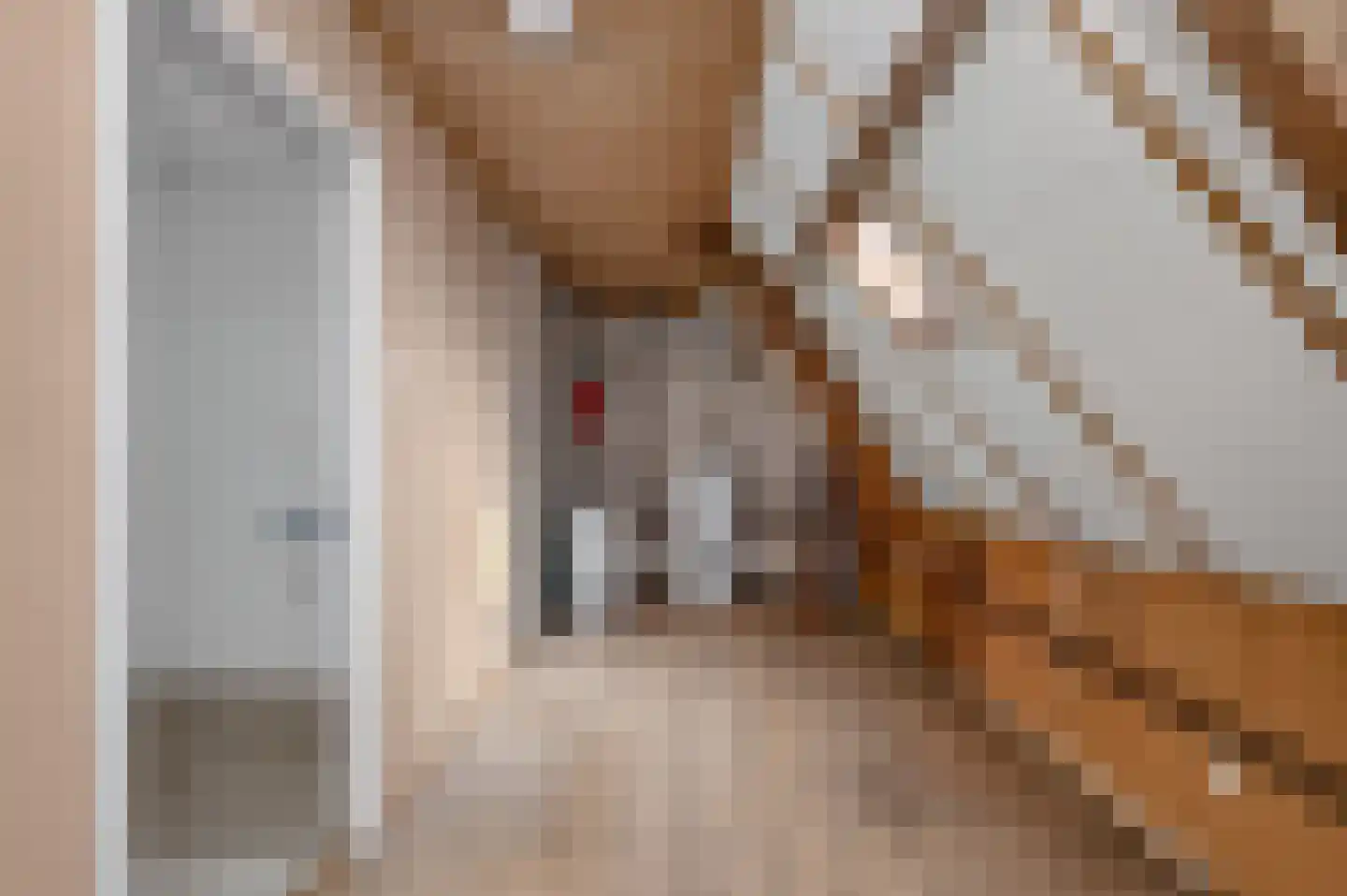 Kerkstraat 1 Dieren thumbnail 19