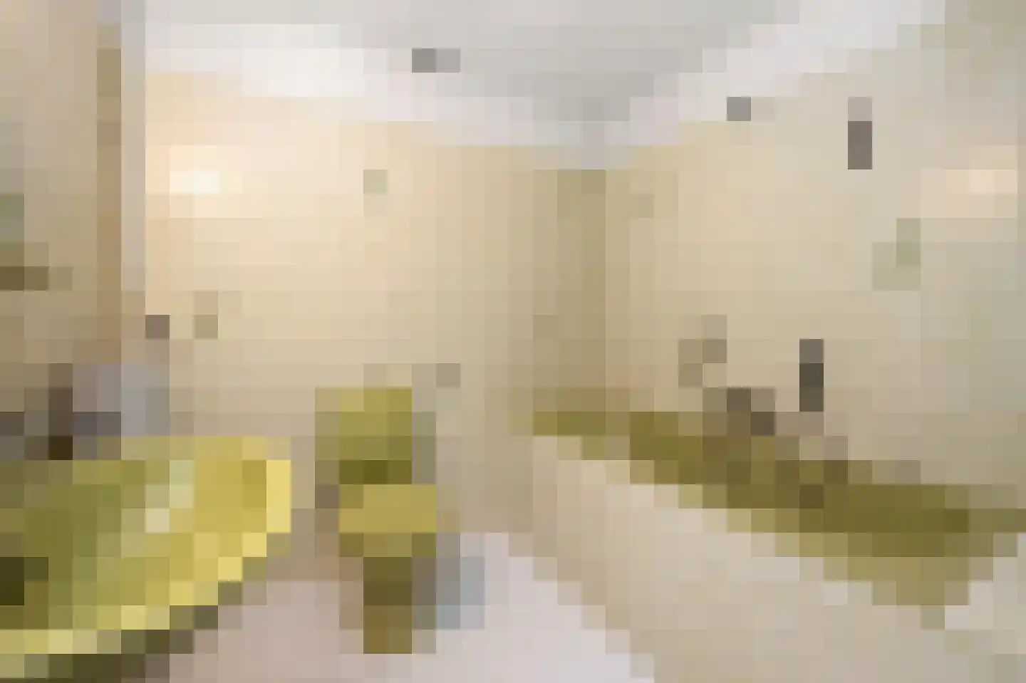 Kerkstraat 1 Dieren thumbnail 23