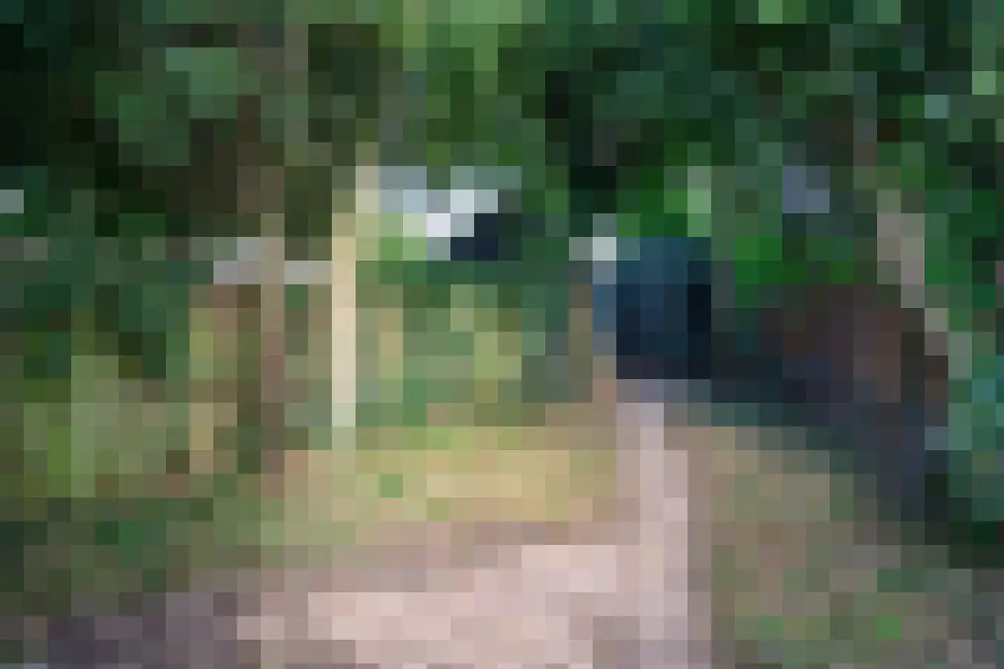 Kerkstraat 1 Dieren thumbnail 24