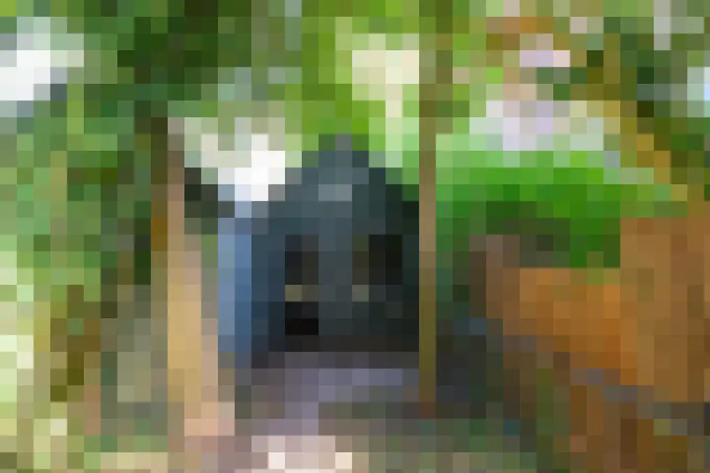 Kerkstraat 1 Dieren thumbnail 25
