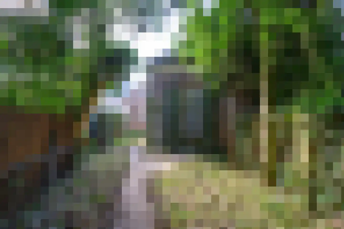 Kerkstraat 1 Dieren thumbnail 27