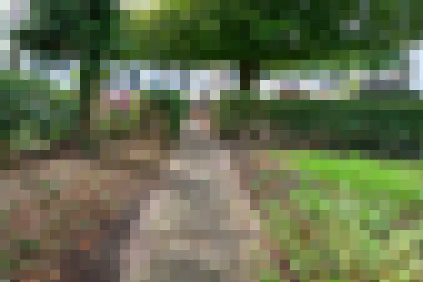 Kerkstraat 1 Dieren thumbnail 30