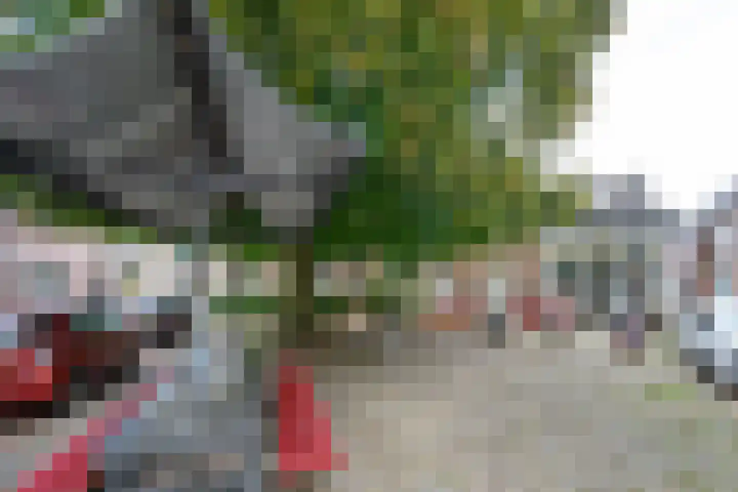 Kerkstraat 1 Dieren thumbnail 34