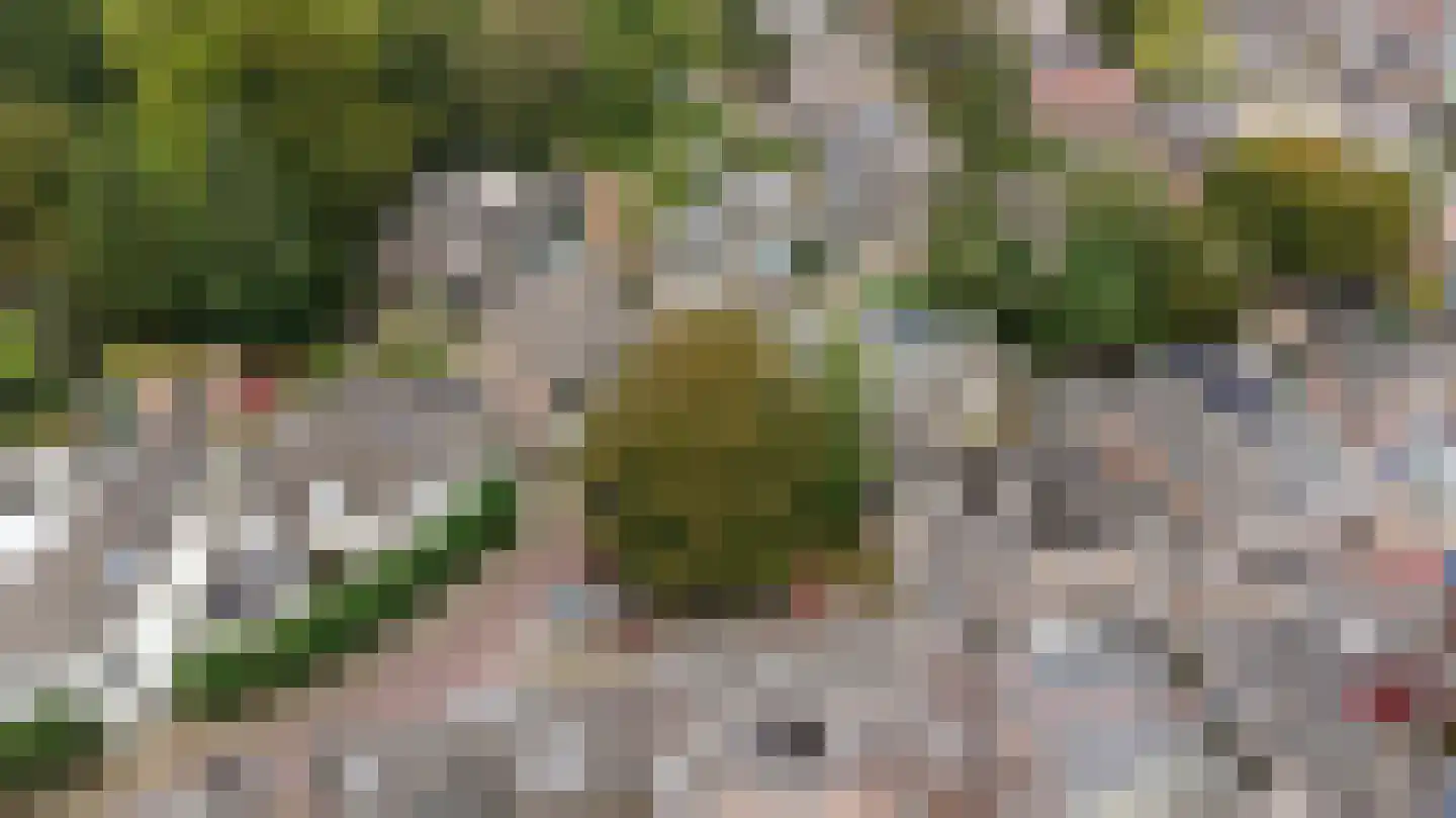 Kerkstraat 1 Dieren thumbnail 35