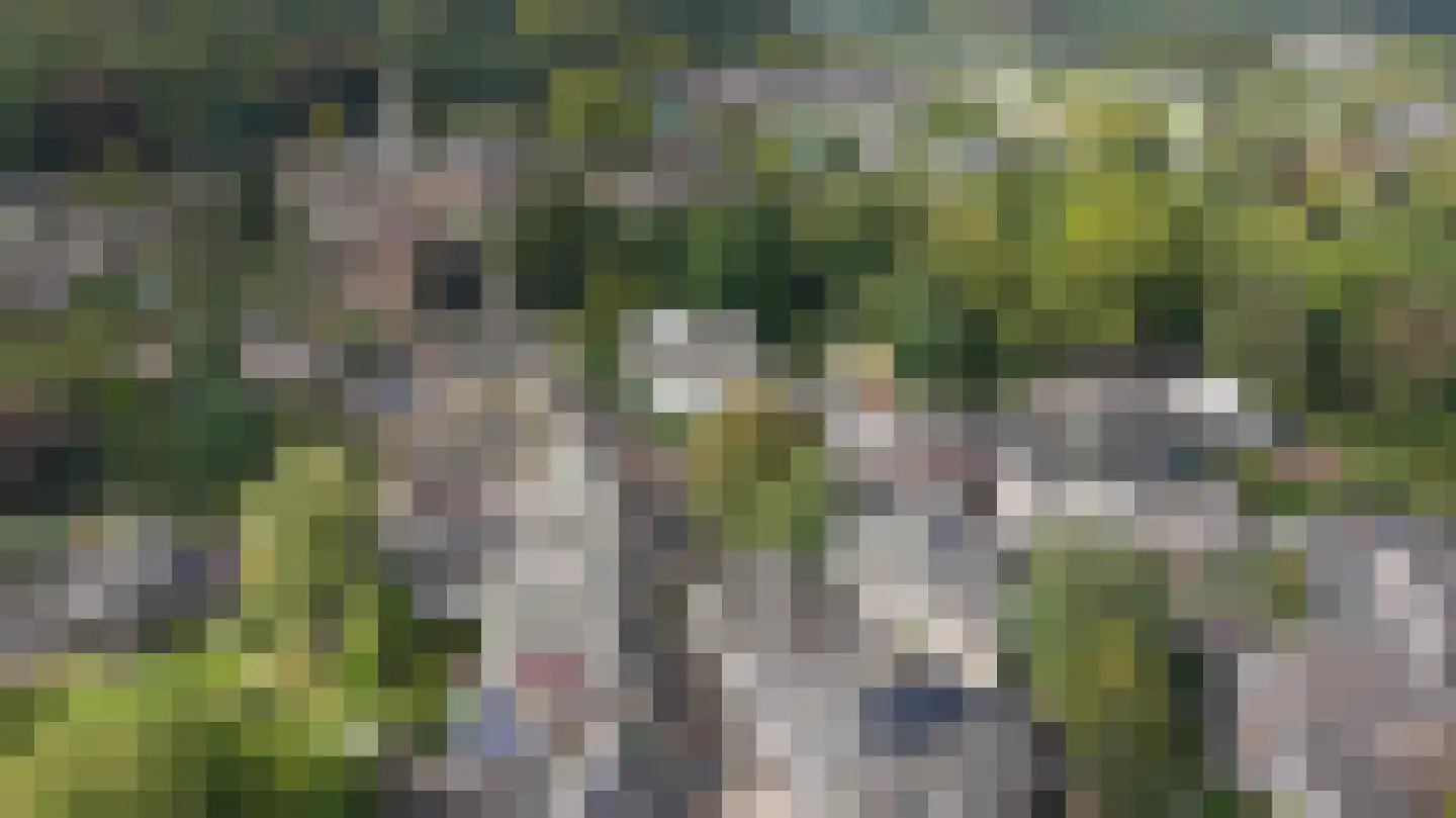 Kerkstraat 1 Dieren thumbnail 36