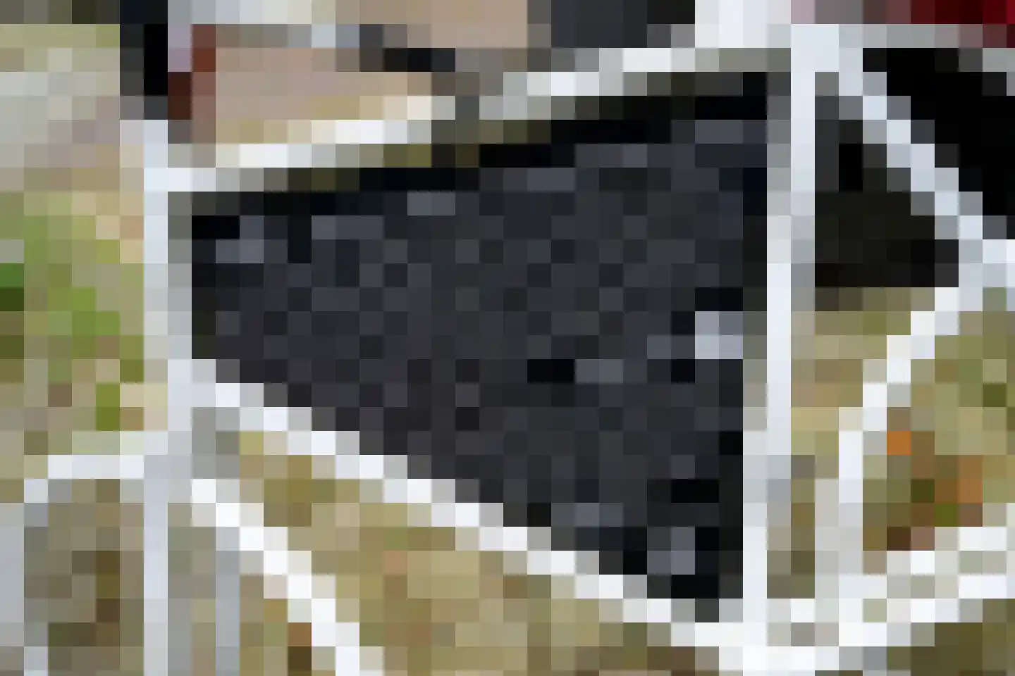 Kerkstraat 1 Dieren thumbnail 37