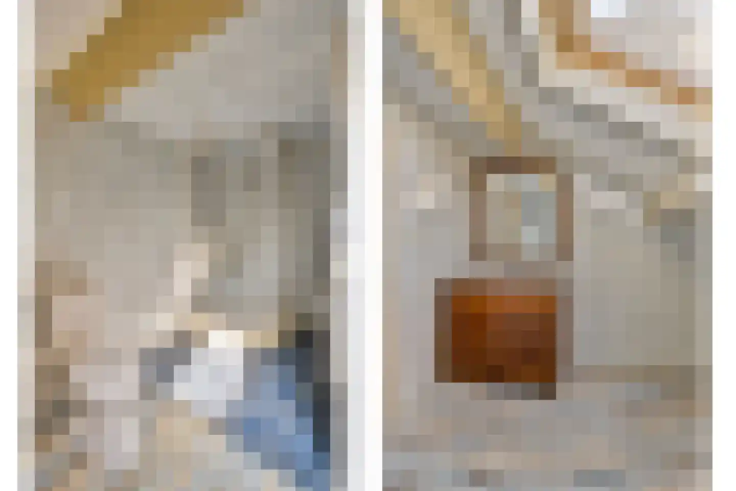 Kerkstraat 1 Dodewaard thumbnail 41