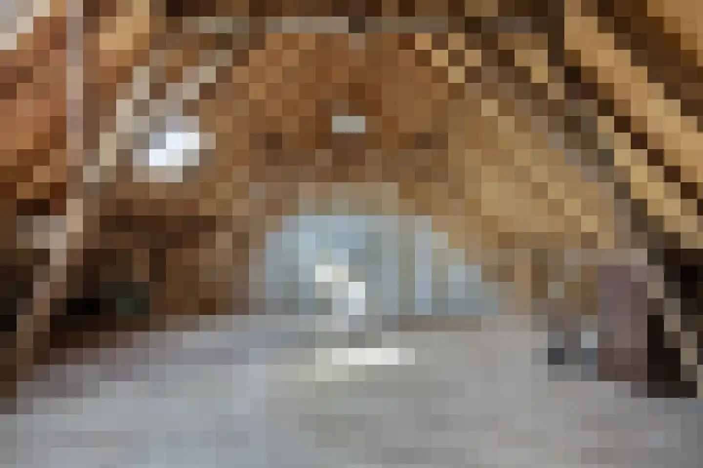 Kerkstraat 1 Dodewaard thumbnail 43