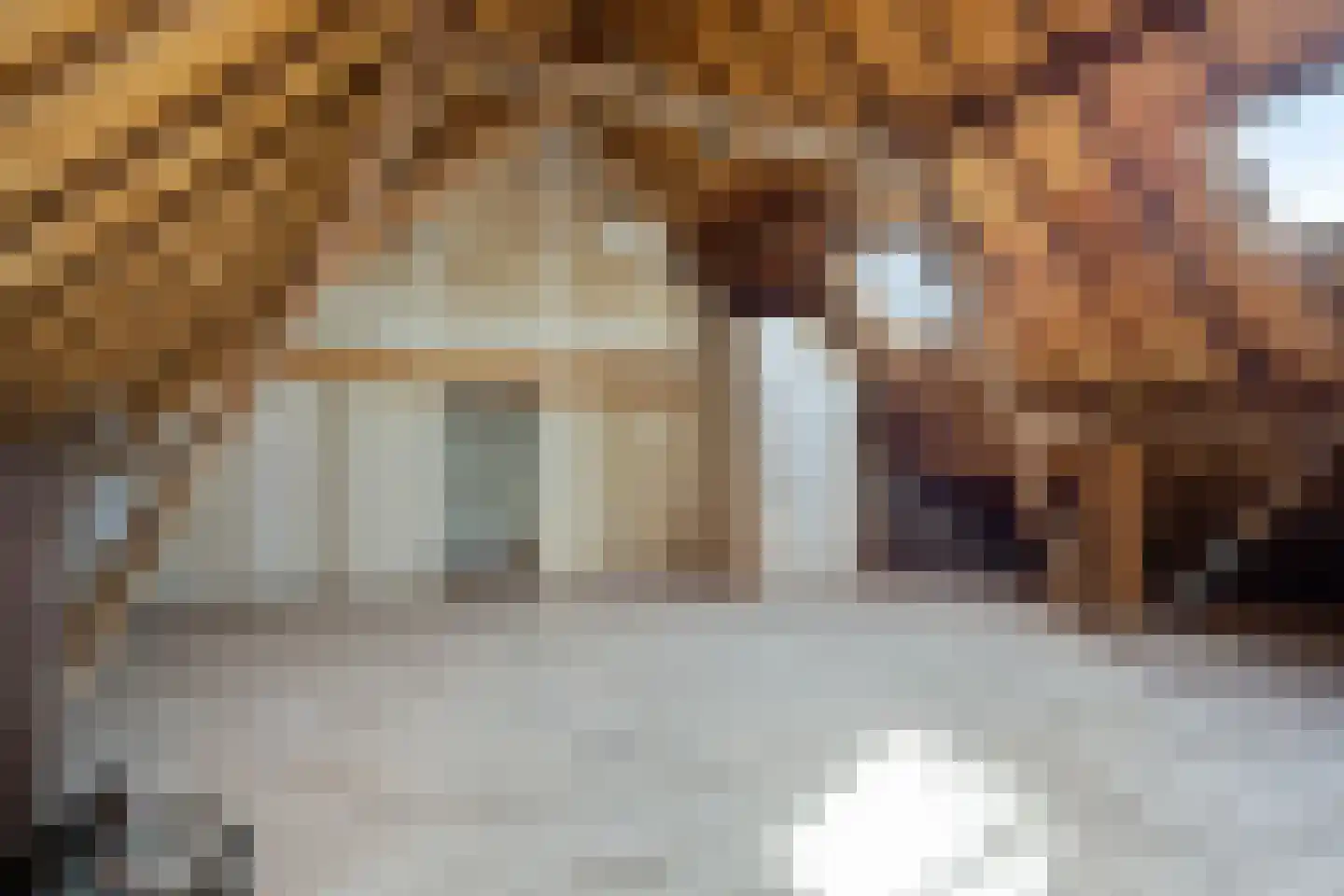 Kerkstraat 1 Dodewaard thumbnail 44