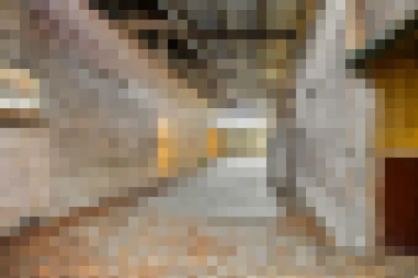 Kerkstraat 1 Dodewaard thumbnail 51