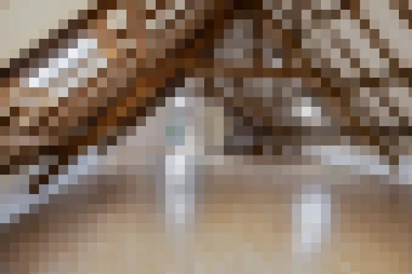 Kerkstraat 1 Dodewaard thumbnail 55