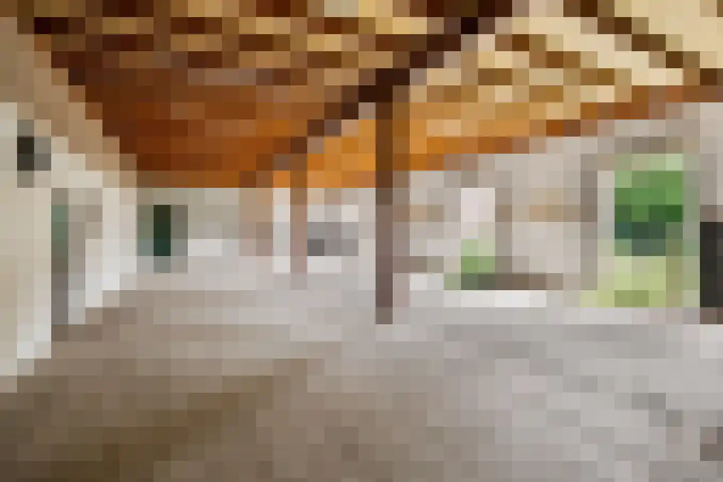 Kerkstraat 1 Dodewaard thumbnail 56