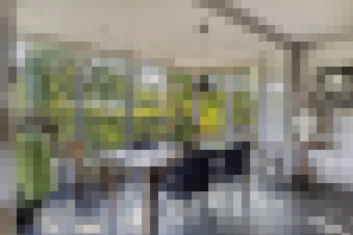 Kerkstraat 1 Elst thumbnail 10
