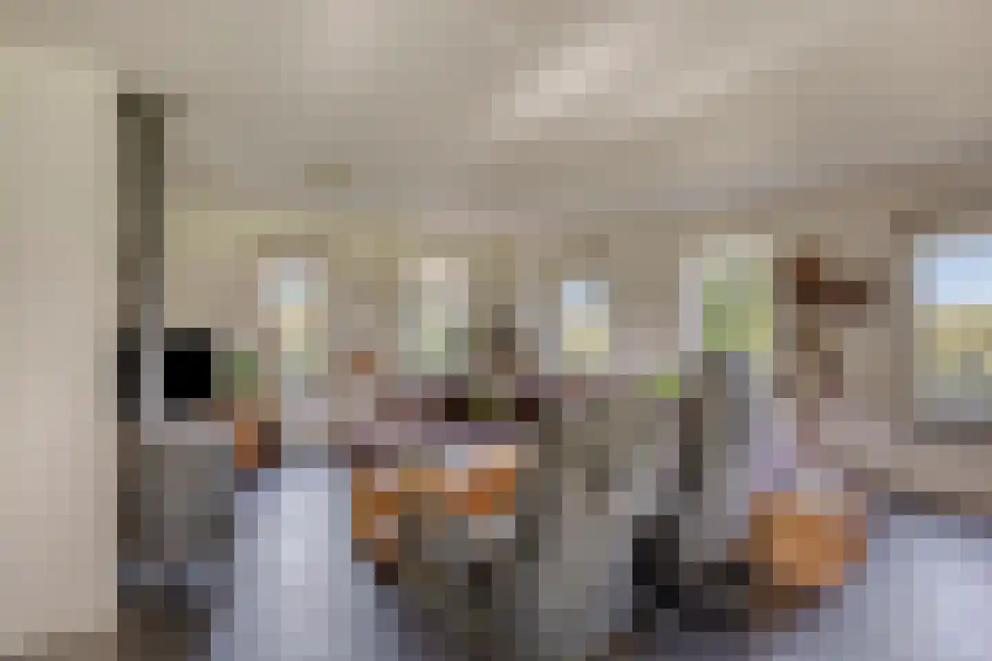 Kerkstraat 1 Elst thumbnail 11