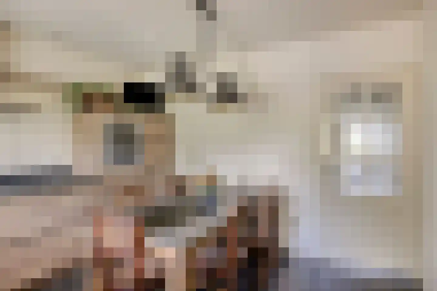 Kerkstraat 1 Elst thumbnail 12